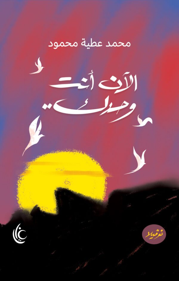 الآن أنت وحدك